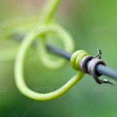 免费用虚拟号码发电话
